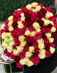 Valentine's Day Red, White and Pink Roses